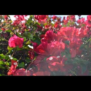 Meet your Posher, Avantika